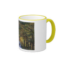 BLUE RIDGE PARKWAY MUG