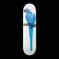 Blue Ringneck Parrot Skateboard