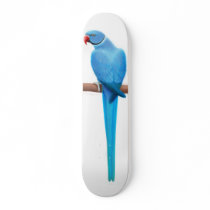 Blue Ringneck Parrot Skateboard by twopurringcats Blue Ringneck Parrot Skateboard