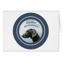Blue RIver Weimaraners Note Cards