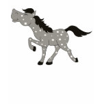 blue, roan, appaloosa, appaloosas, horse, horses