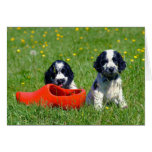 Blue Roan Cocker Spaniels cards