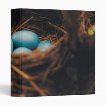 Blue Robin's Eggs 3 Ring Binders
