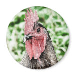 Blue Rooster Digital Art Refrigerator Magnets