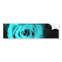 Blue Rose Bumper Stickers