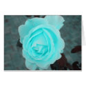 Blue Rose cards