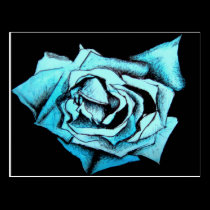 Blue Rose Card postcards