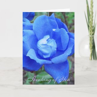 Blue Rose customizable card card