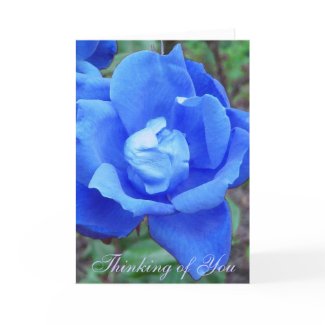 Blue Rose customizable card card