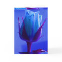 Blue Rose Delight Card I - Customizable by Yve_13 Blue Rose Delight Card I - Customizable