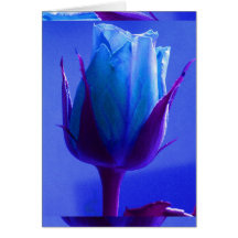 Blue Rose Delight Card I - Customizable