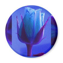 Blue Rose Delight Magnet I - Customizable by Yve_13 Blue Rose Delight Magnet I - Customizable