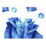 Blue Rose Flower Painting - Multi Postcard
