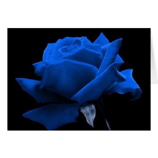 Blue Rose Quotes. QuotesGram