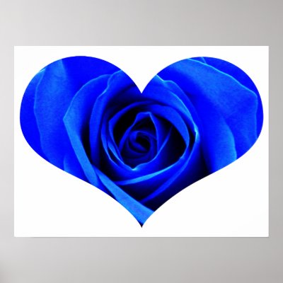 images of blue rose