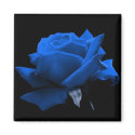 Blue Rose magnets by kokobaby Blue Rose magnets