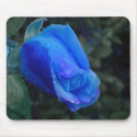 Blue Rose mousepads by Romance_In_Bloom Blue Rose mousepads