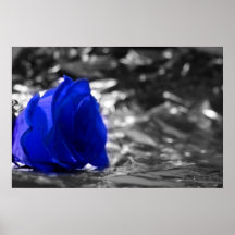 Blue Rose On Left Side Silver Background Posters