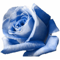 Blue Rose Photo Sculpture photo sculptures