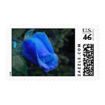 Blue Rose stamp
