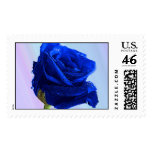 blue rose postage stamp