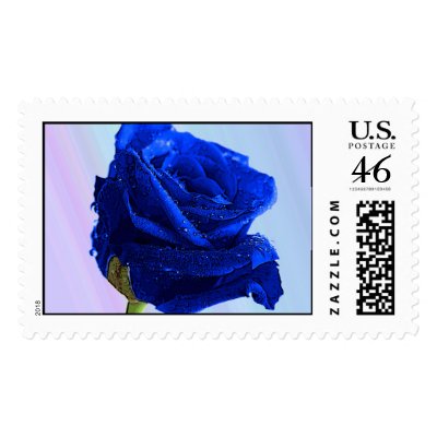 blue rose postage