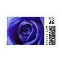 Blue Rose postage stamp by photoinspiration Blue Rose postage stamp