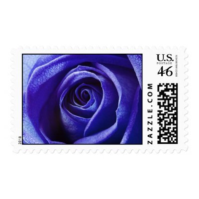 Blue Rose postage stamp