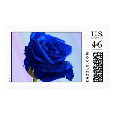 blue rose postage stamp