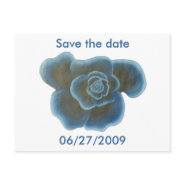 Blue Rose, wedding Save the date postcards postcard