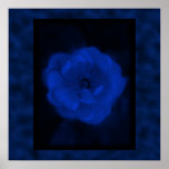 Blue Rose. With Black and Deep Blue. Posters