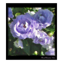 Blue Roses posters