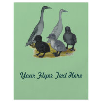 Blue Runner Duck Family Flyers
