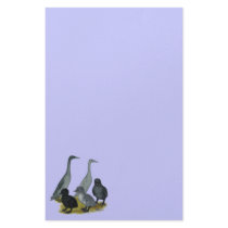 Blue Runner Duck Family Personalized Stationery