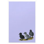 Blue Runner Ducklings Stationery Design