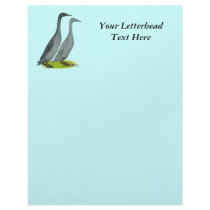 Blue Runner Ducks Customized Letterhead