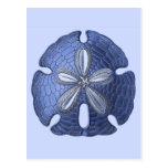 Blue Sand Dollar Postcard