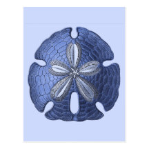 Blue Sand Dollar Postcard
