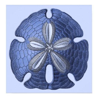 Blue Sand Dollar Poster Print print