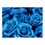 Blue Sea of Roses posters