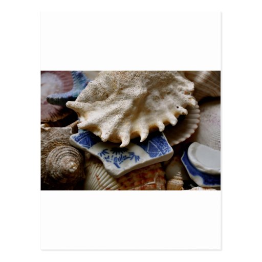 Blue Sea Pottery Postcard