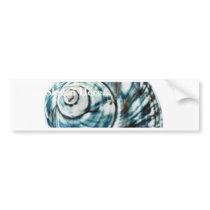 Blue Sea Shell On White Background bumper stickers
