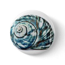 Blue Sea Shell On White Background buttons