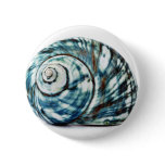 Blue Sea Shell On White Background buttons
