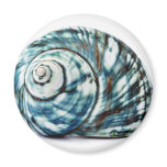 Blue Sea Shell On White Background Magnet
