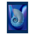 Blue Seashell Print print