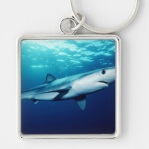 Blue Shark Key Chain