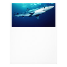 Blue Shark Letterhead Template