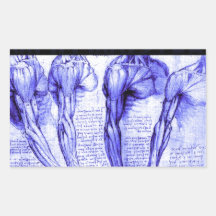 Blue Shoulder Design Rectangular Sticker