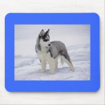 Blue Siberian Husky Puppy Dog in Snow Mouse Pad